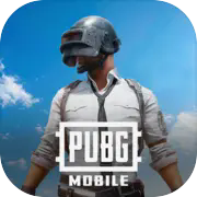 PUBG国际服