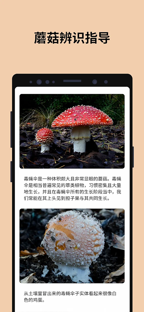 蘑菇识别扫一扫截图3