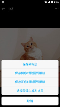 猫咪成长记截图2