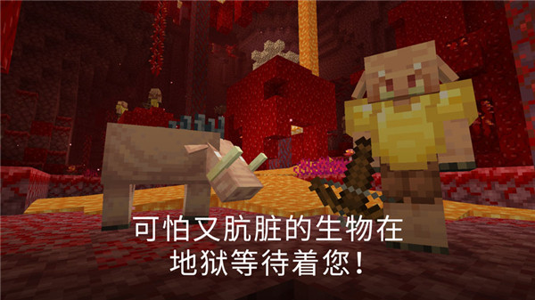 minecraftpe截图3