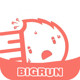 bigrun论坛