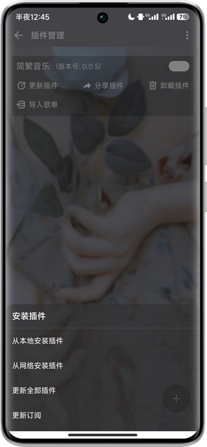 简繁音乐CSM截图3