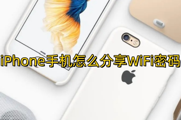 iPhone手机怎么分享WiFi密码