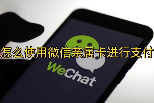 怎么使用微信亲属卡进行支付