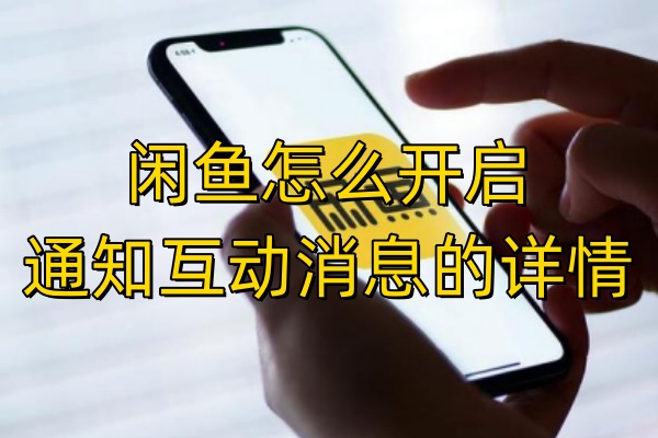 闲鱼怎么开启通知互动消息的详情