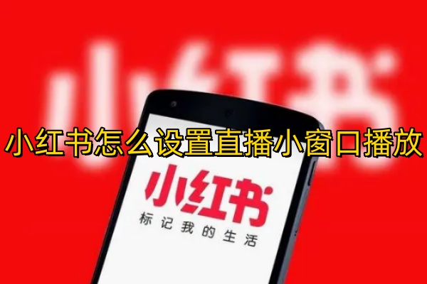 小红书怎么设置直播小窗口播放