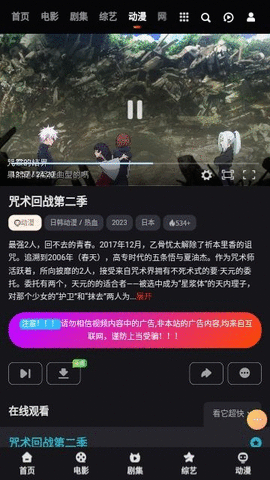 大向动漫手机版