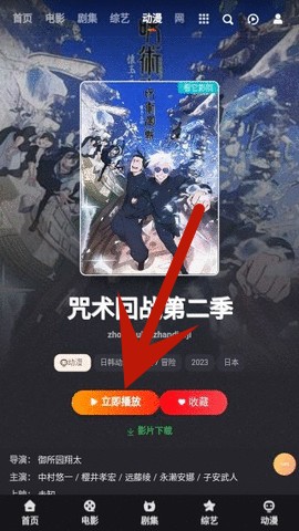 大向动漫app