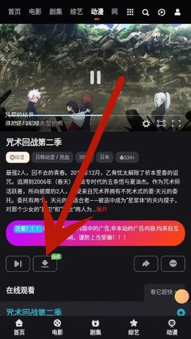 大向动漫app