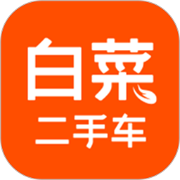 白菜二手车app