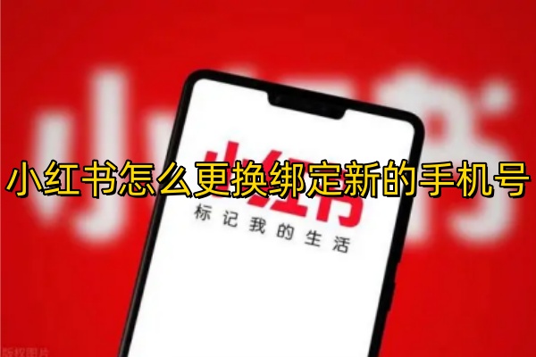 小红书怎么更换绑定新的手机号