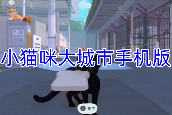 小猫咪大城市手机版