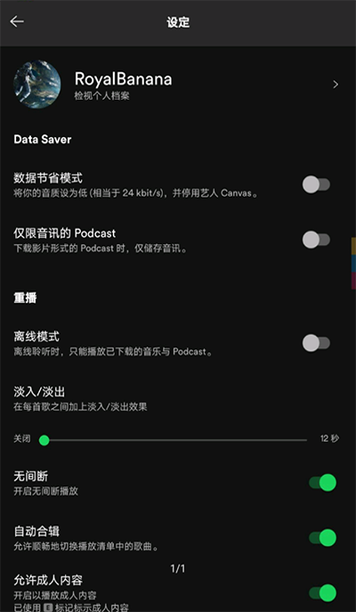 声破天spotify截图2