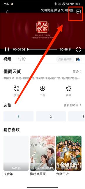 新大师兄影视app