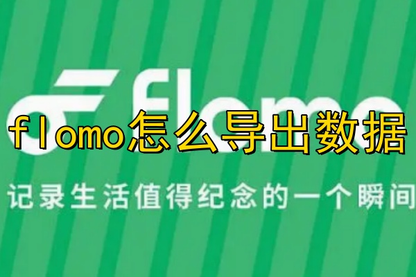 flomo怎么导出数据