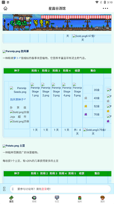 星露谷酒馆