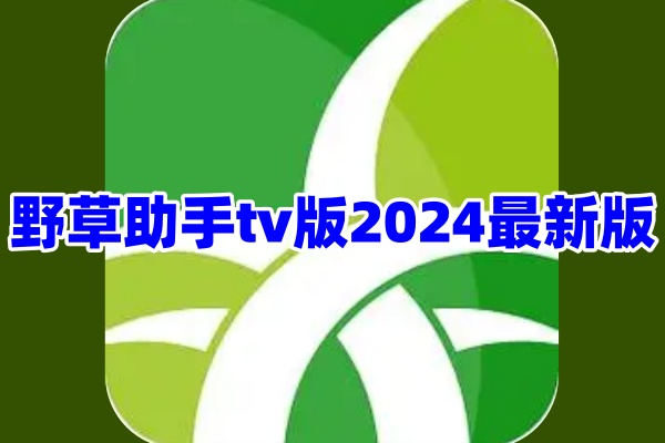 野草助手tv版App