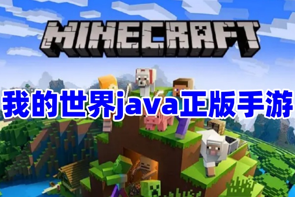 我的世界java版