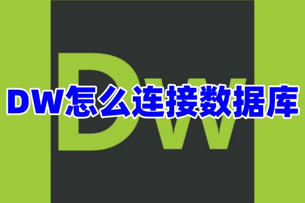 DW怎么连接数据库