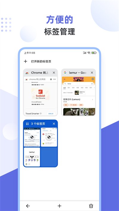 狐猴浏览器app截图1