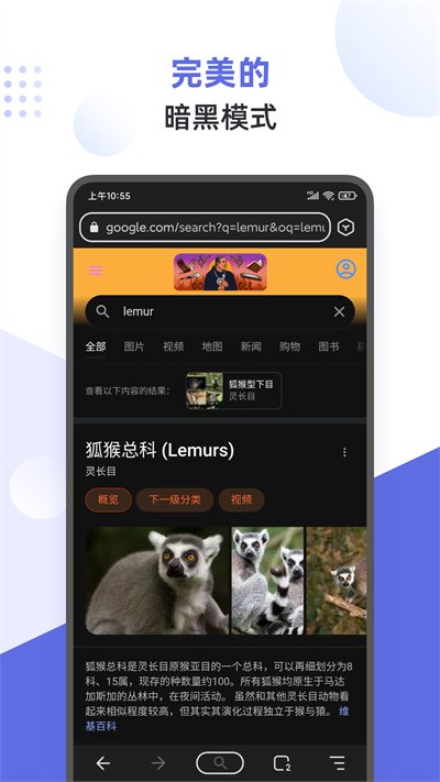 狐猴浏览器app截图3