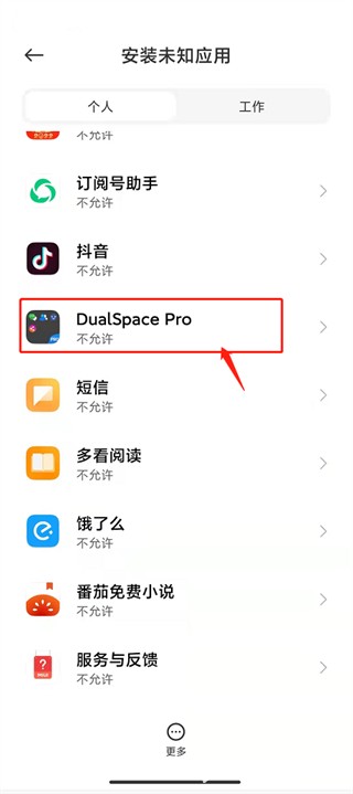 DualSpace Pro专业版