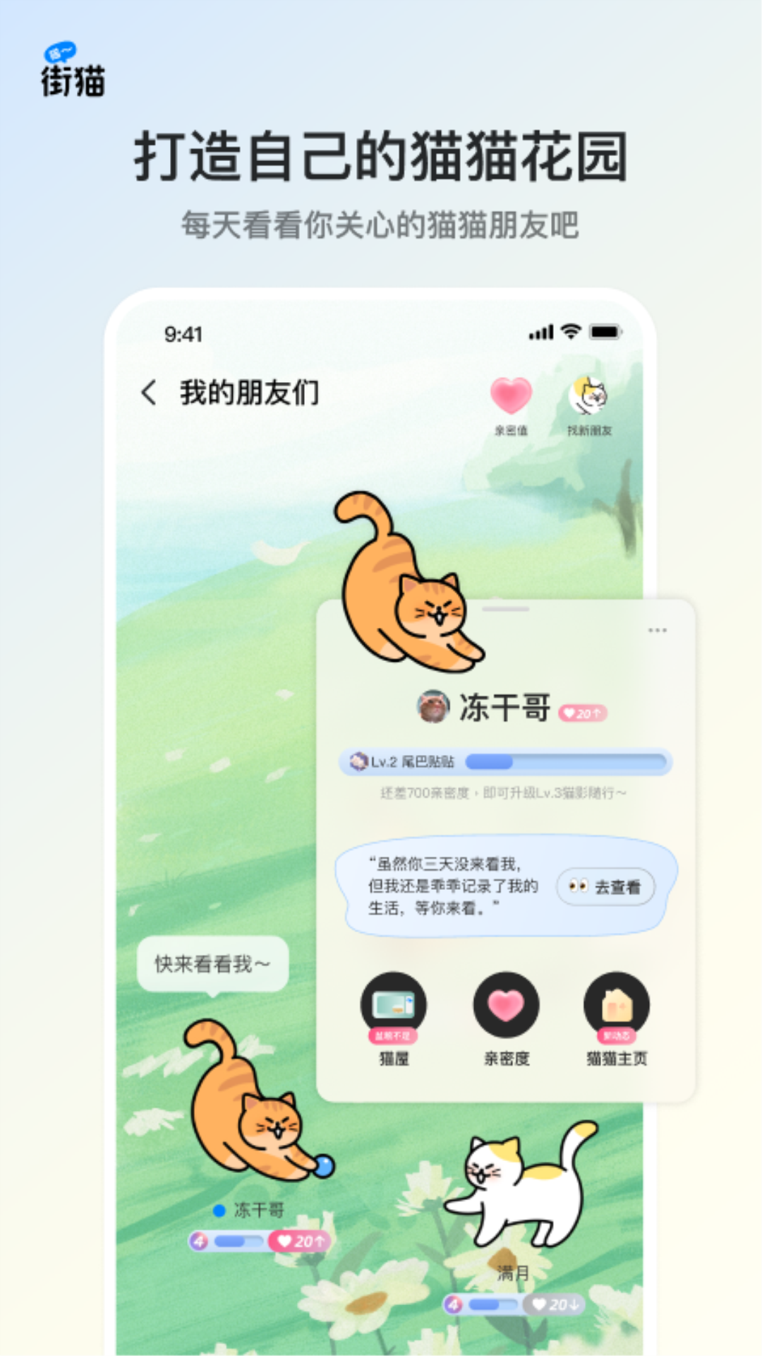 街猫app截图1