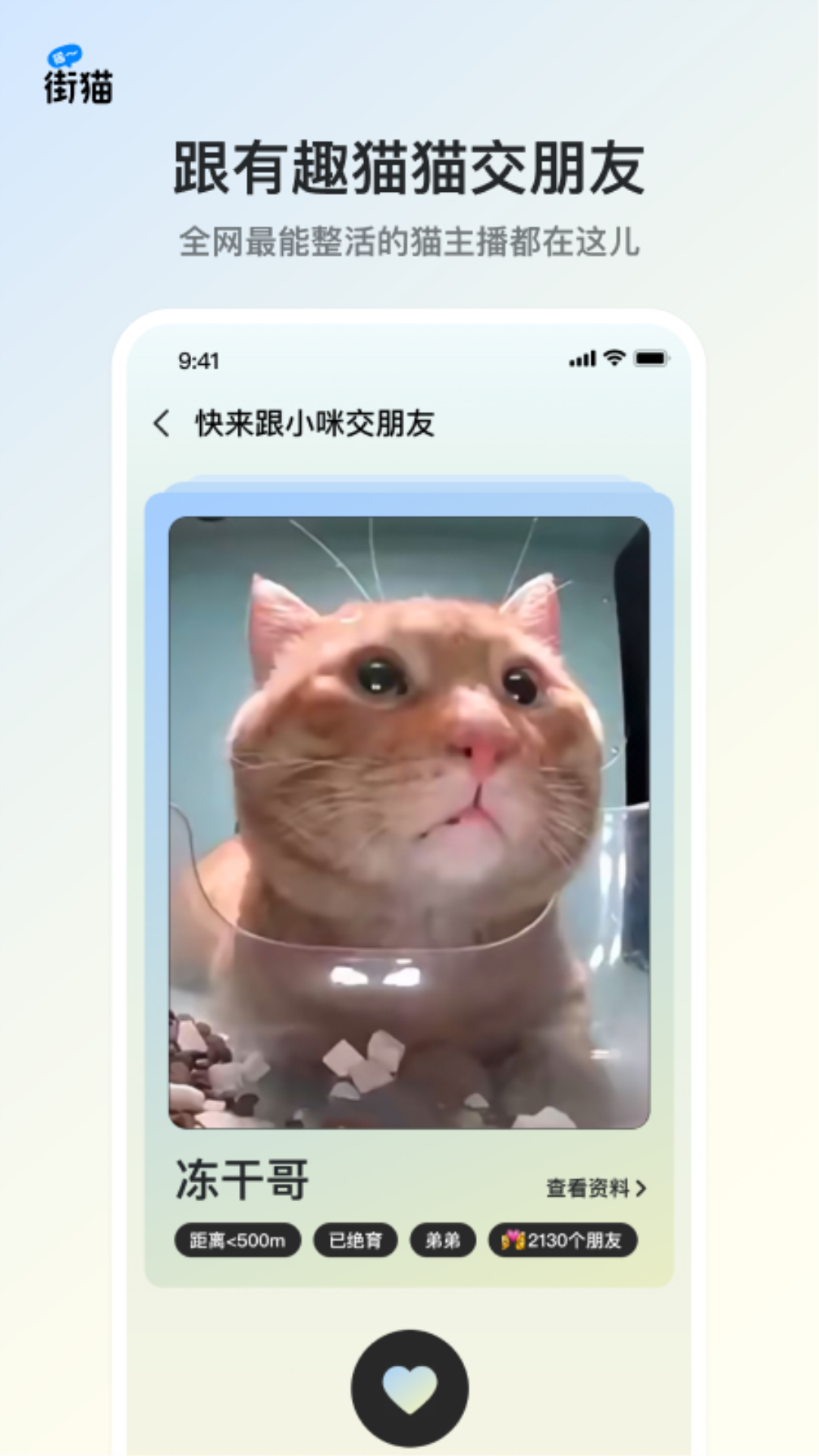 街猫app截图2