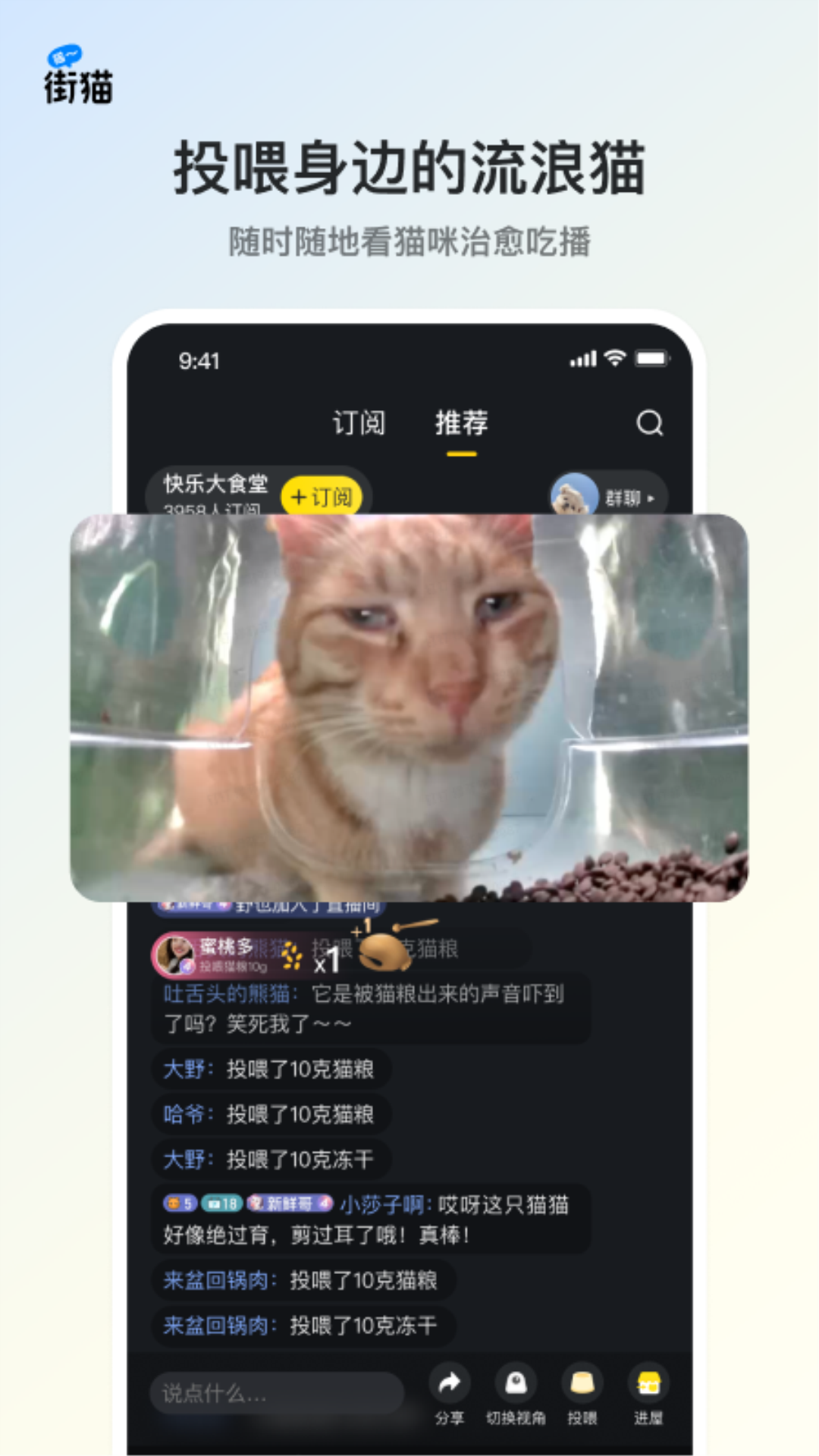 街猫app截图3