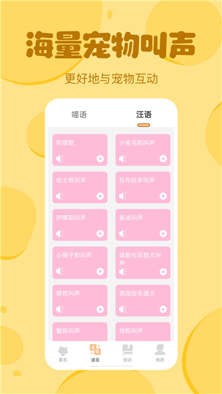 喵喵猫狗翻译器