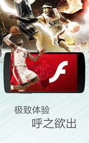 海豚浏览器flash版本截图