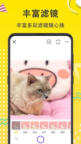 宠物动漫相机截图