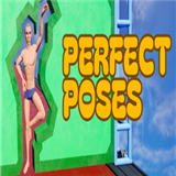 PerfectPoses游戏