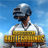 pubg轻体直装版