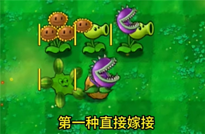 植物大战僵尸嫁接版