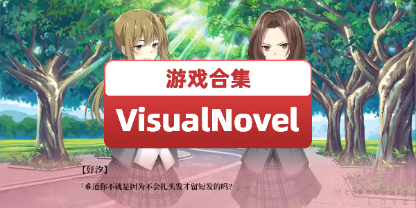 VisualNovel视觉小说