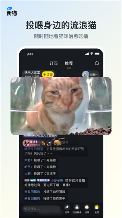 哈啰街猫APP截图