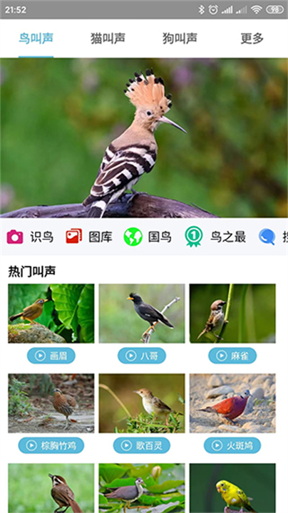 鸟叫声百科全书2025截图