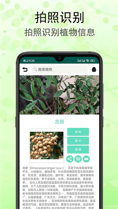 识花草拍照应用软件截图