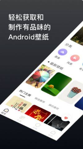 灵猫主题壁纸app