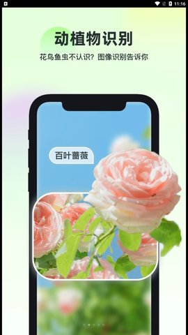 智能识万物app最新版