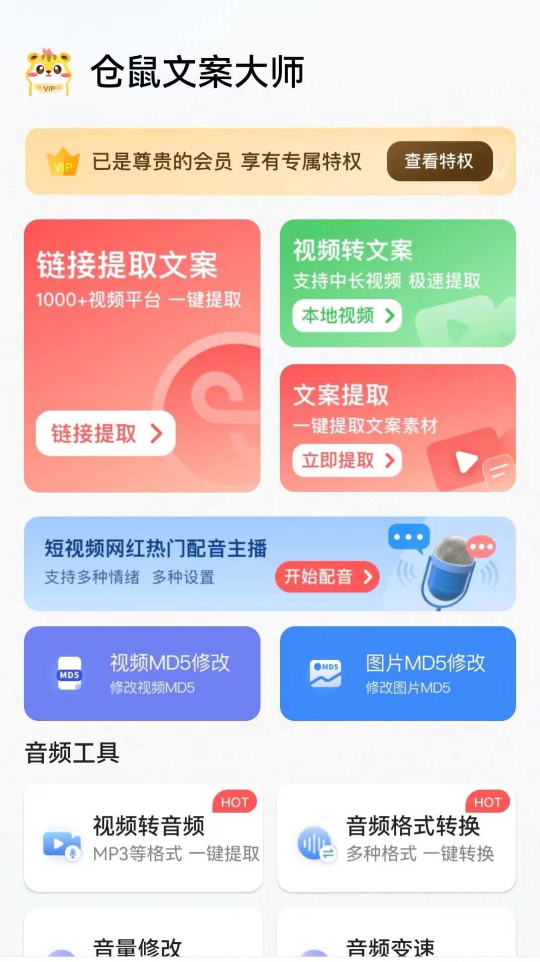 仓鼠文案大师app