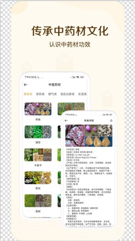 经络穴位指南app