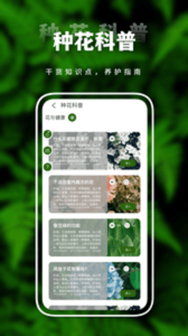 含羞草传媒app