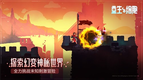 重生细胞内置无邪原创悬浮窗2024