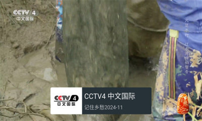 我的电视TV版