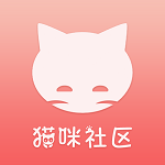 猫咪社区最新