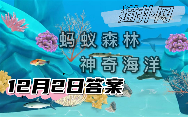 蚂蚁森林神奇海洋12月2日答案2024-哪一项是海陆之间的重要缓冲带