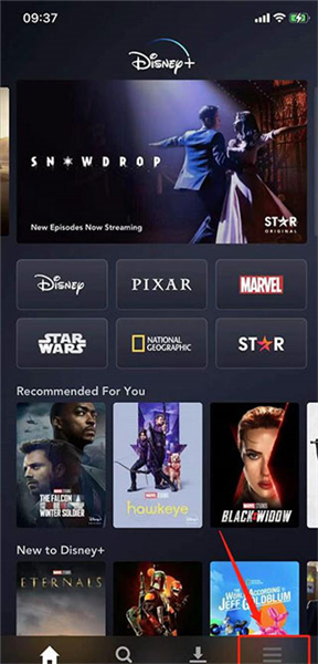 Disney+App