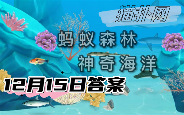 蚂蚁森林神奇海洋12月15日答案2024-猜一猜以下哪种海洋动物是海葵的天敌